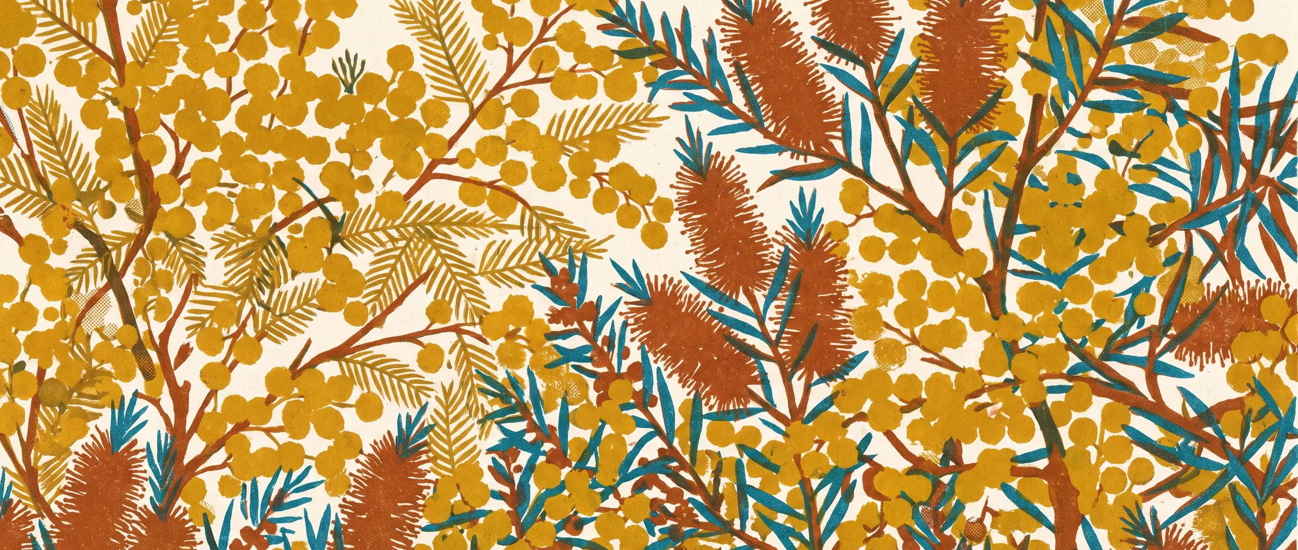Golden wattle in full bloom with bottlebrush spikes threaded through, in a three-ink risograph print
