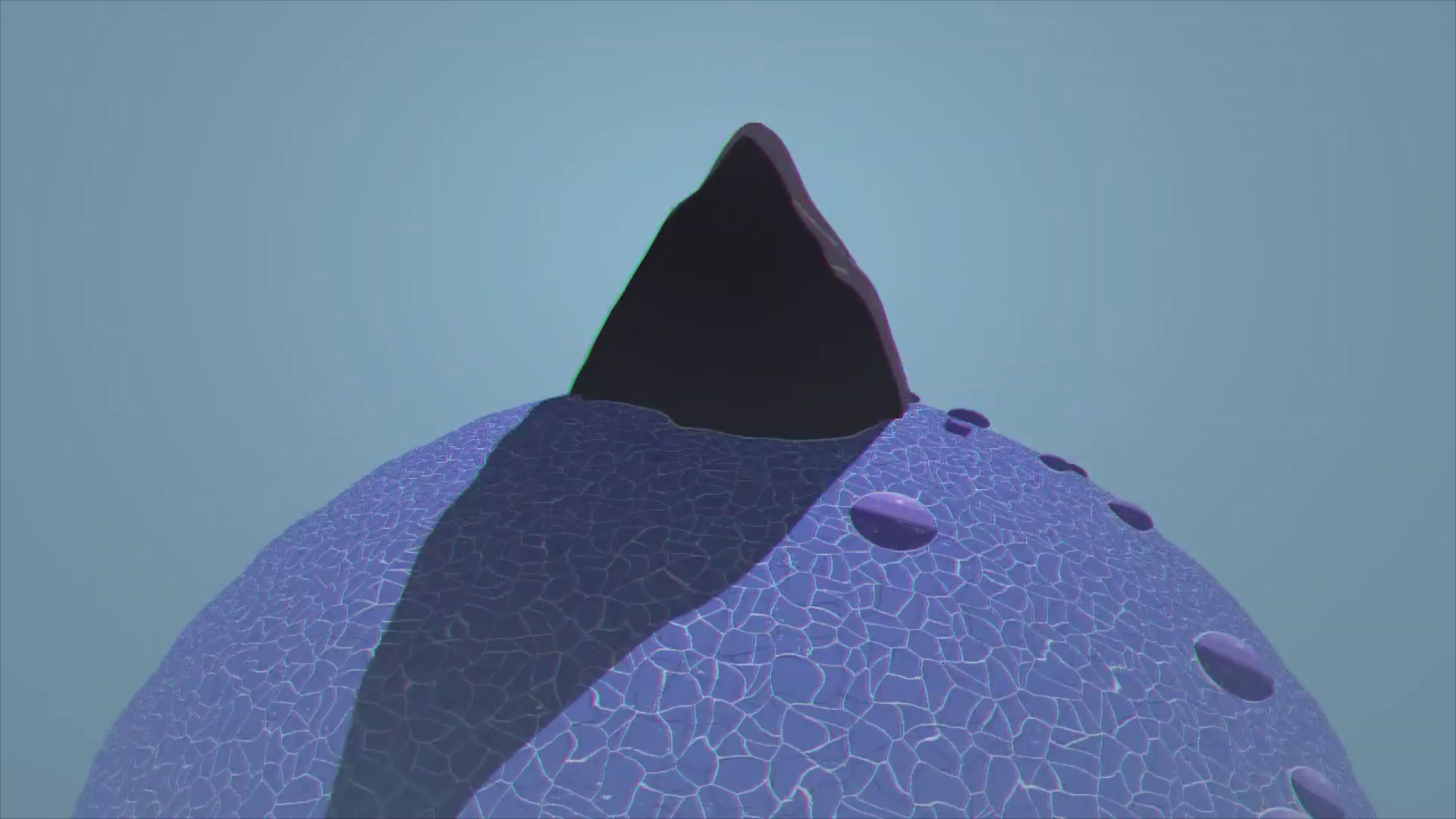 Video 3